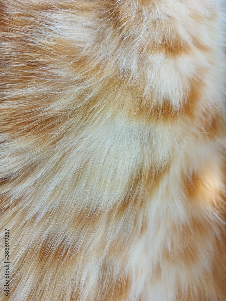 Background from natural fur of a domestic cat of a red striped color. Background from natural fur of a domestic cat of a red striped color.