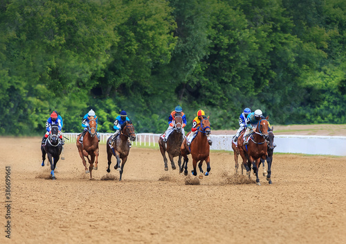 jockey horse racing horses jump to the finish line on sandy ground photo