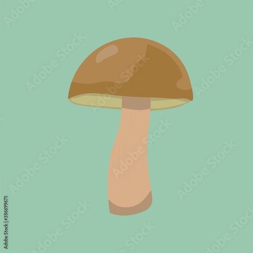 Cute vector mushroom drawing. Perfect for your wallpaper, fabric, website. Bay bolete (imleria badia) is a popular food ingredient in Poland.