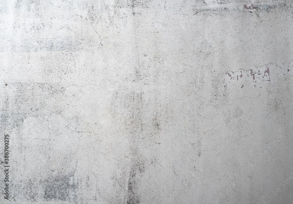 Fototapeta premium White wood panel texture for the background.