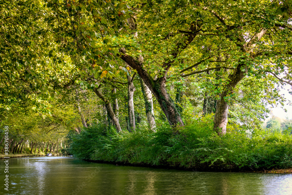 the Canal du Midi near Toulouse, in France the Canal du Midi near Toulouse, in France