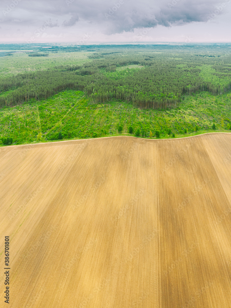 Aerial View Of Field And Deforestation Area Zone Landscape. Top View Of Field And Green Pine Forest Landscape. Large-scale Industrial Deforestation To Expand Agricultural Fields