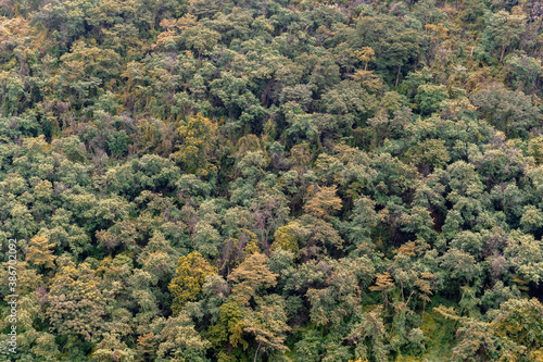 top view beauty green forest on mountain rock in thailand