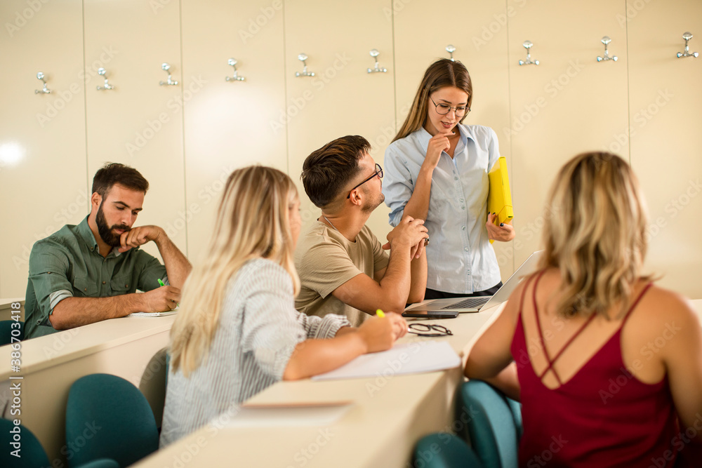Fototapeta premium University students in the classroom with young female assistant lecturer