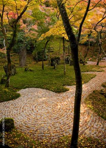 Zen rock garden with fall foliage in Japan