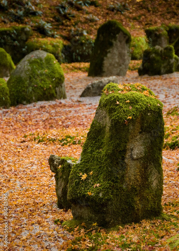 Zen rock garden with fall foliage in Japan