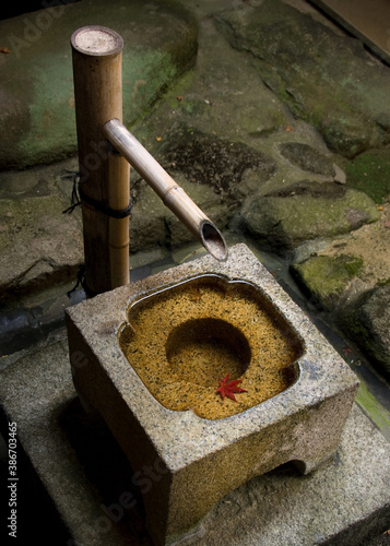 Autumn leaf on still water stone basin in Japan