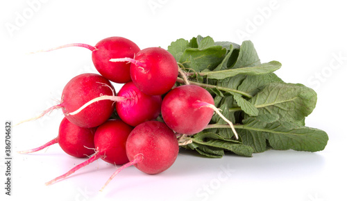 Small red garden radish isolated on white background