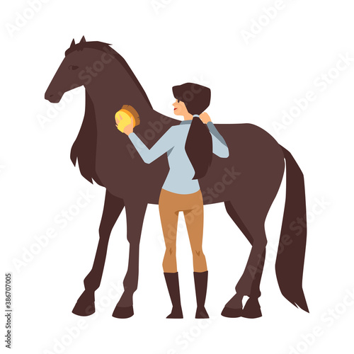Young woman cleaning a thoroughbred chestnut horse a vector isolated illustration