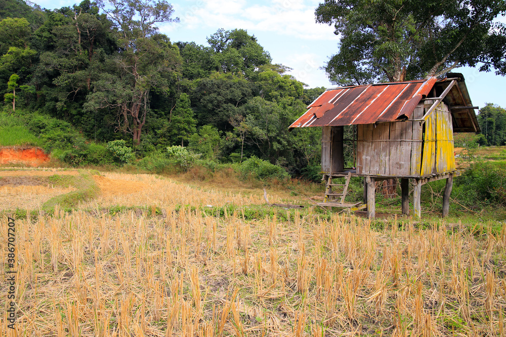 old house in the field