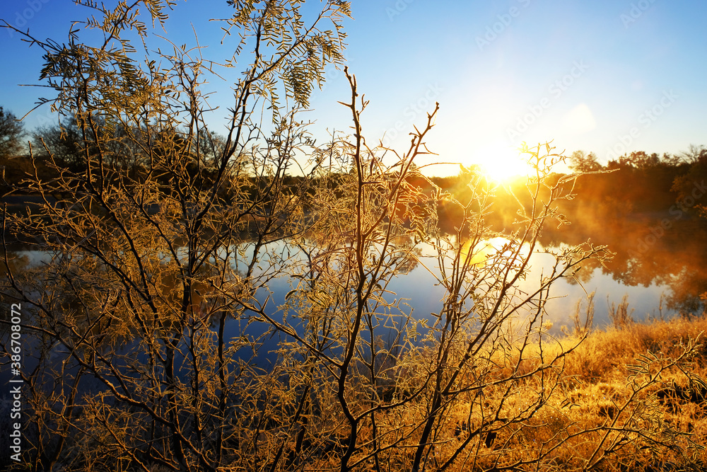 Frost on mesquite tree over Texas winter landscape with pond in background. Frost on mesquite tree over Texas winter landscape with pond in background.