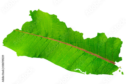 Map of Republic of El Salvador in green leaf texture on a white isolated background. Ecology, climate concept