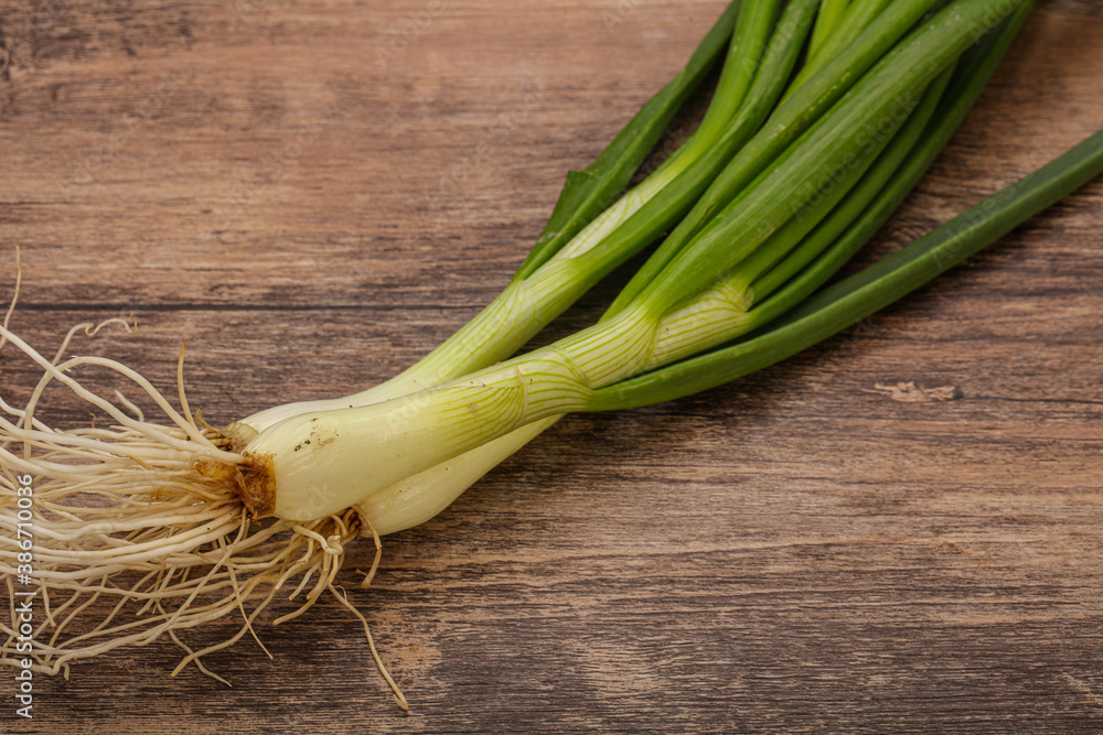 Young fresh tasty green onion