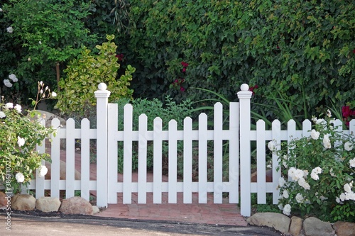 White picket fence with a gate and white roses on the left and right