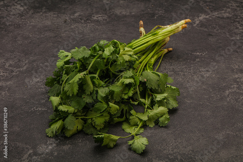 Green coriander or cilanto leaves heap photo