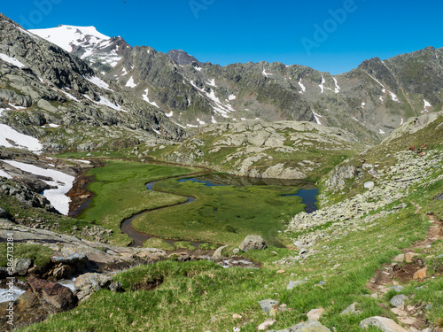 Top view of beautiful wetland with spring stream, alpine mountain meadow called Paradies with lush green grass and snow capped mountain peaks. Stubai hiking trail, Summer Tyrol Alps, Austria