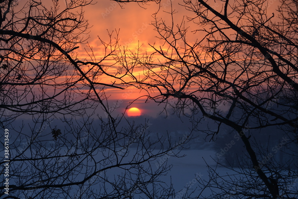 Sunrise through the trees