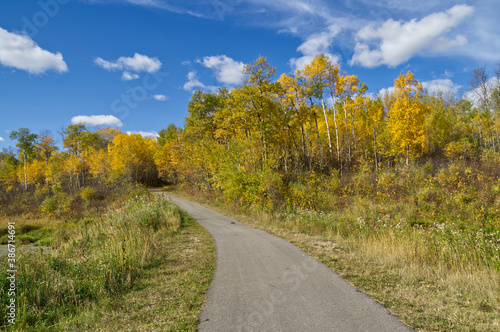 Autumn Trees surrounding a hiking trail at Elk Island National Park