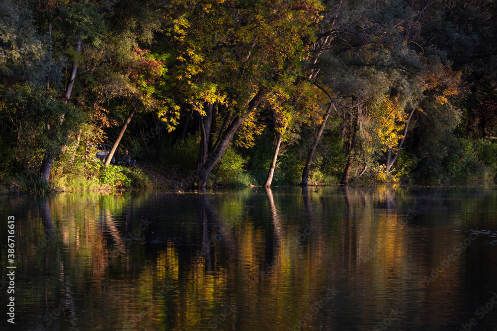 reflections in the water reflections in the water
