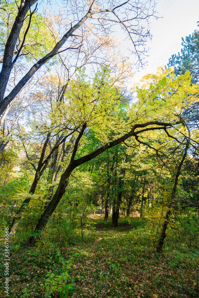 Beautiful autumn landscape in Vanadzor's botanical garden Beautiful autumn landscape in Vanadzor's botanical garden