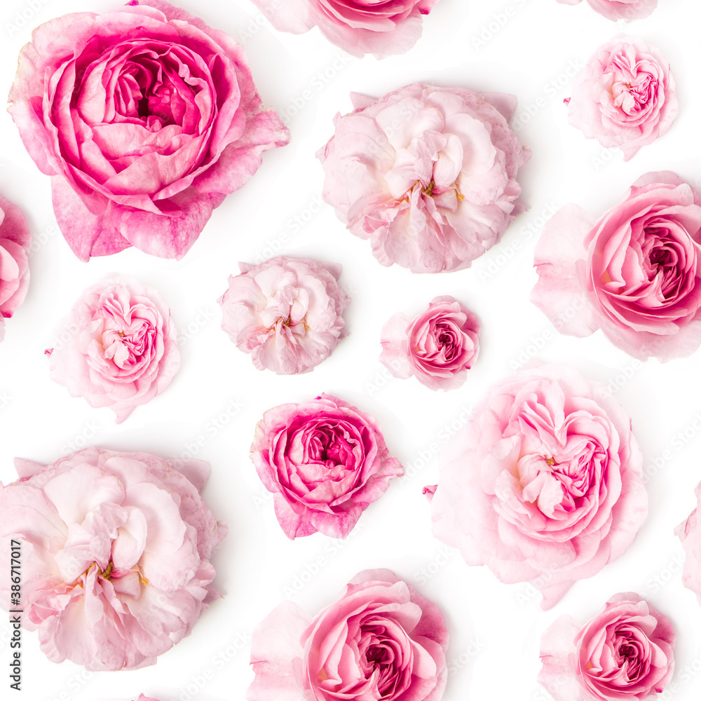 Roses seamless pattern. Isolated on white background. Flowers texture.