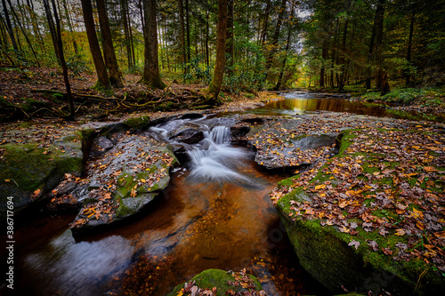 Small waterfall on Flat Lick Creek near Gray Hawk  Kentucky.