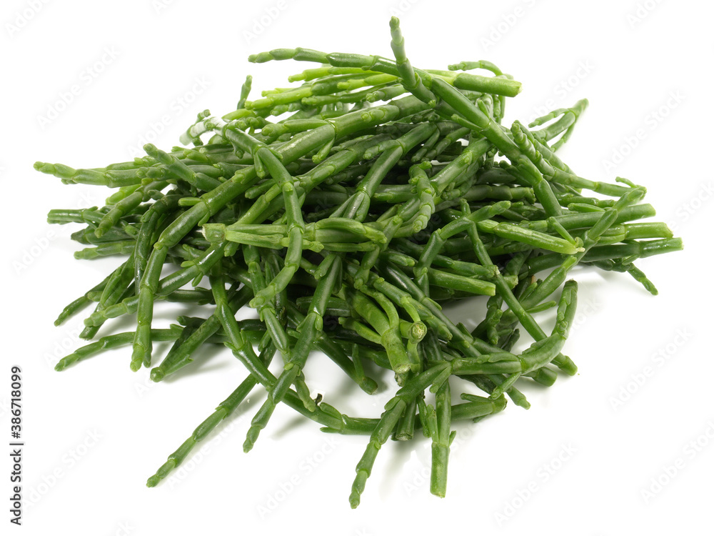 Fototapeta premium Fresh Passe Pierre Seaweed - Salicornia
