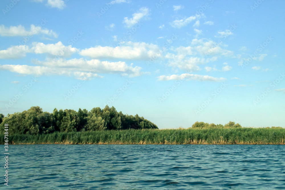 Lechos de juncos en una laguna en el delta del Danubio. Paisaje de humedales de agua dulce en la desembocadura del río Danubio en Rumania.