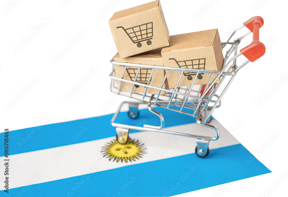 Box with shopping cart logo and Argentina flag, Import Export Shopping online or eCommerce finance delivery service store product shipping, trade, supplier concept.