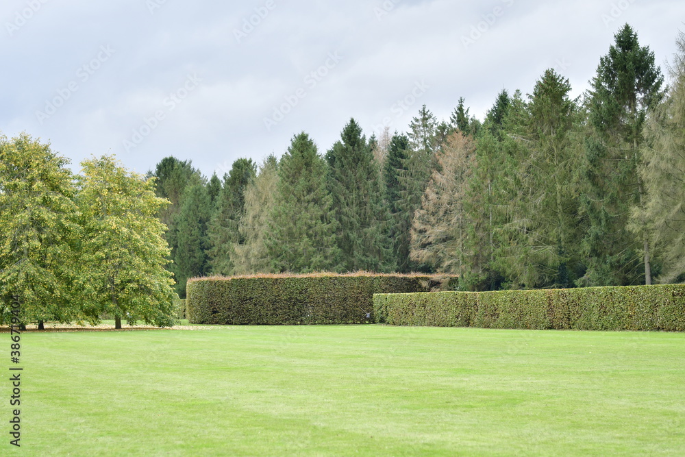 Obraz premium trees in the park