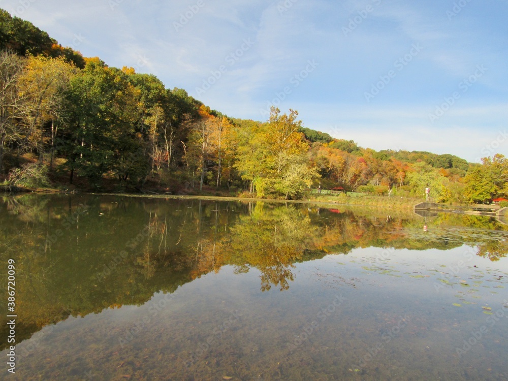 autumn trees reflected in water autumn trees reflected in water