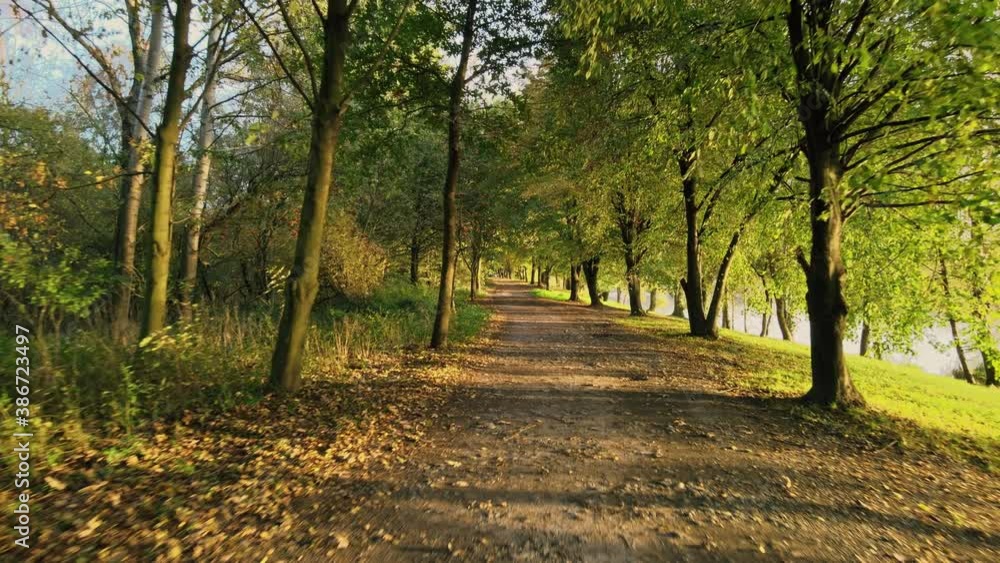 Autumn road on a sunny day Autumn road on a sunny day