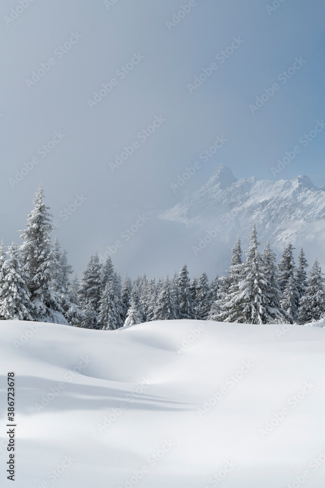 Winter in den Alpen