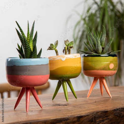 colorful handmade ceramic cactus pots