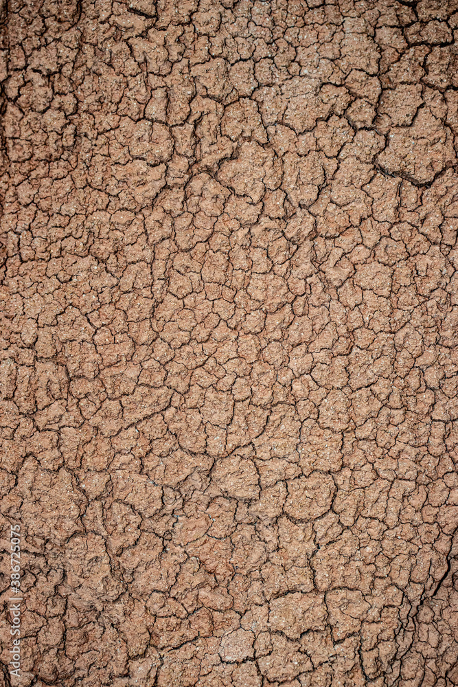Naklejka premium dry cracked earth