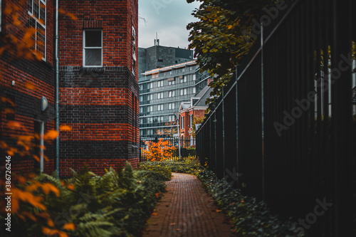 Small path with buildings in the background
