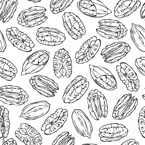 Pecan nuts on white background. Seamless vector pattern. Hand drawn illustration. Sketch.