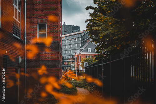 Small path with buildings in the background