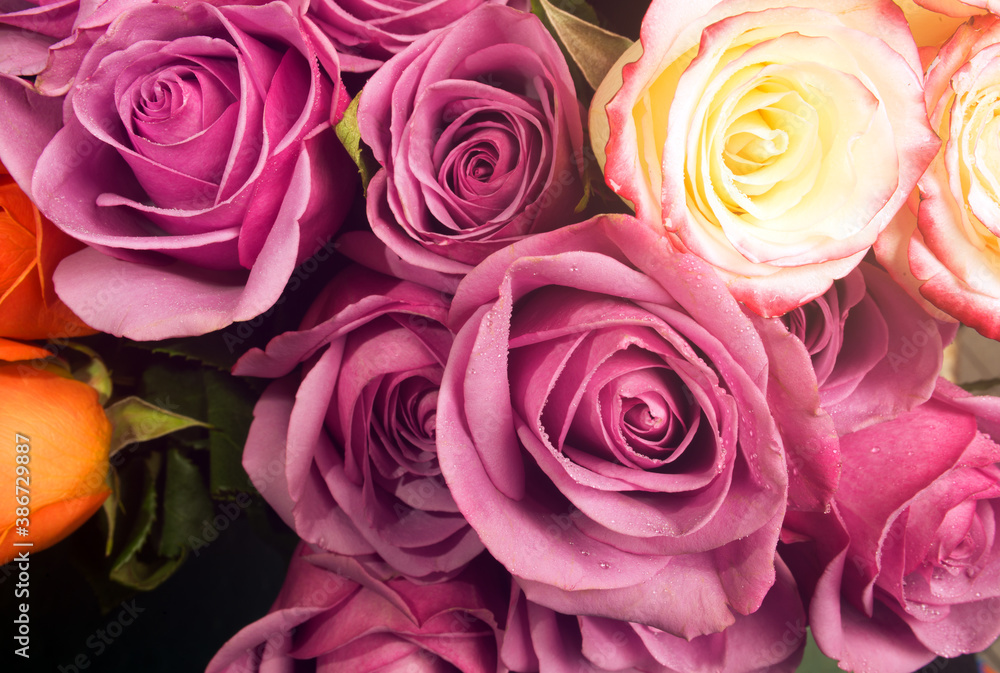 bouquet of roses bouquet of roses