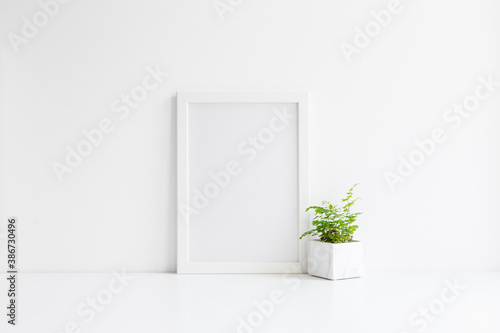 White frame mockup and a plant in marble pot near white wall.