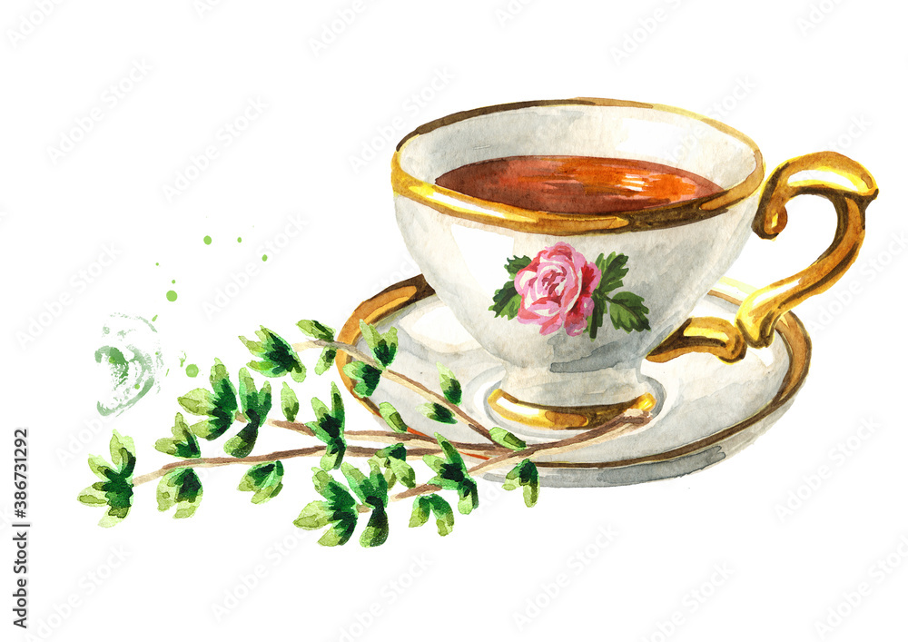 Cup of tea with Thyme. Hand drawn watercolor illustration isolated on white background - obrazy, fototapety, plakaty 