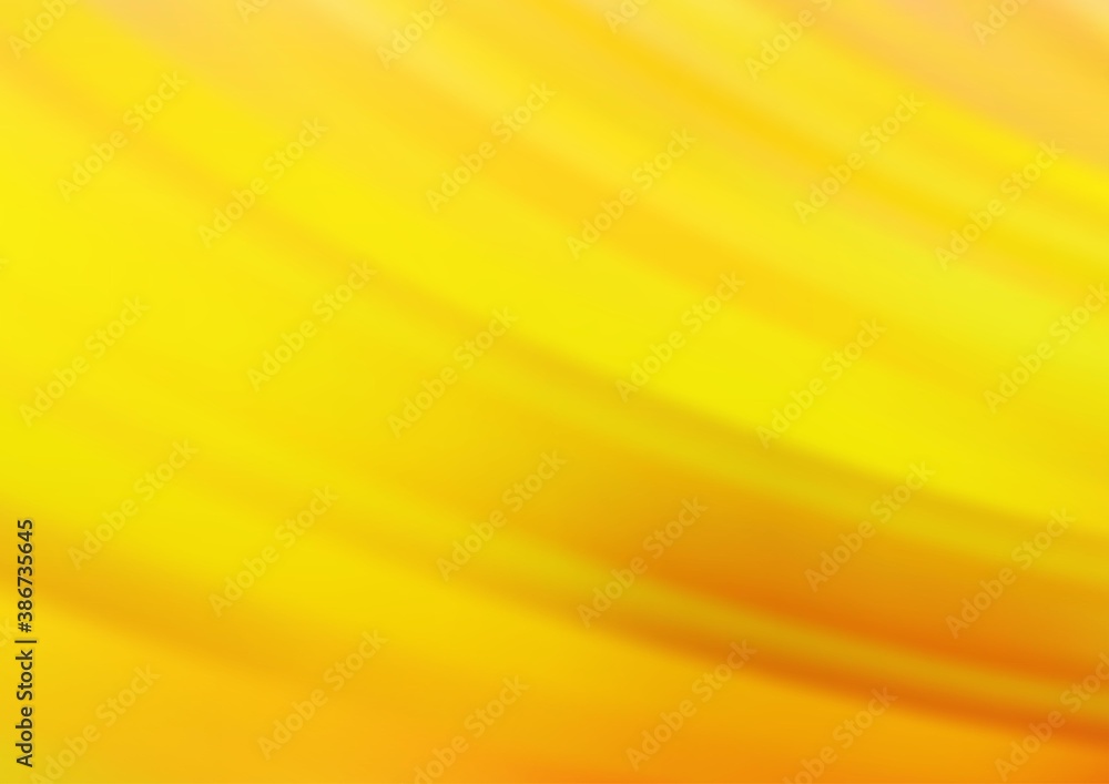 Light Orange vector background with straight lines. Light Orange vector background with straight lines.