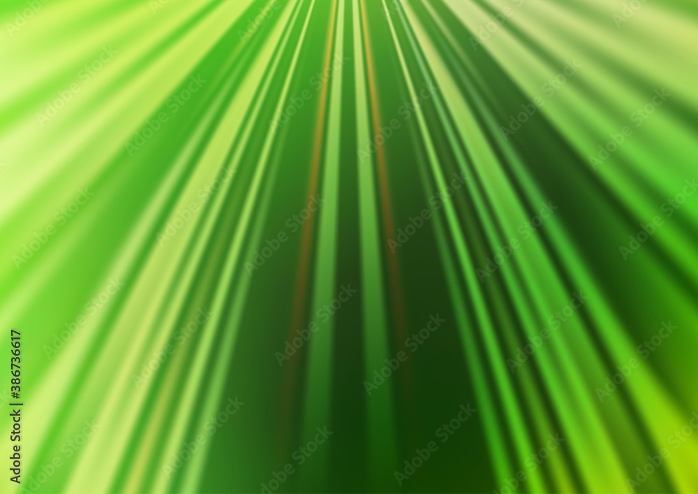 Naklejka premium Light Green vector layout with flat lines.