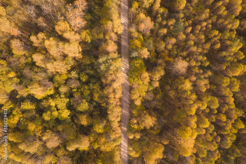 Top-down aerial view of a straight road going through a dense forest in autumn colours. No cars. No people.