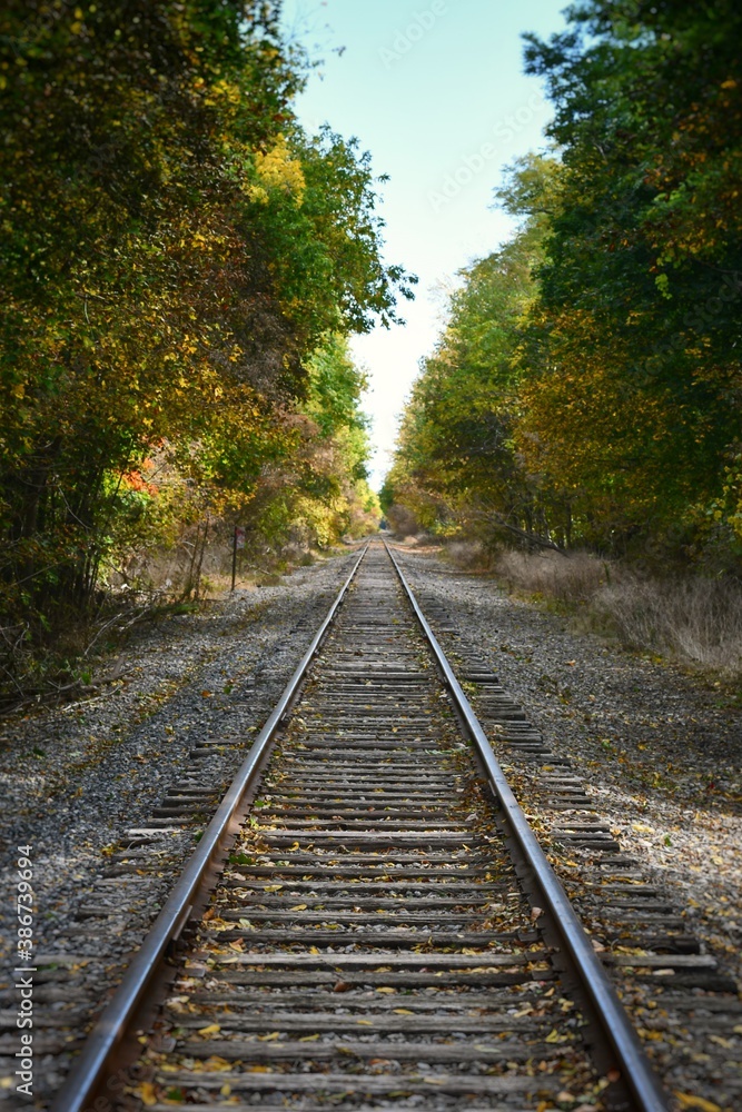 Train tracks disappearing into the distance