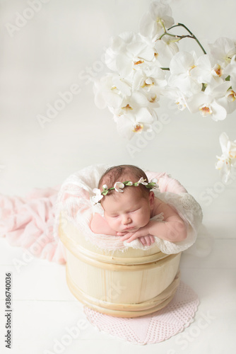 A one week old newborn baby girl sleeping in a little, wooden bucket. She is wearing a cream colored bow headband. Shot in the studio on a white background.newborn photoshoot