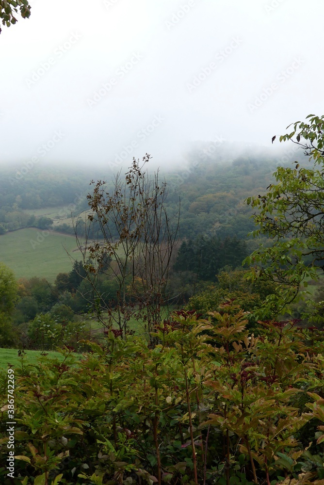 fog in Bourgogne in autumn 