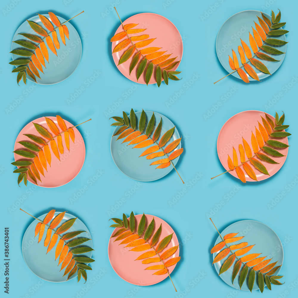 Abstract autumn colorful pattern. Autumn leaf in round plate on a blue background. Flat lay