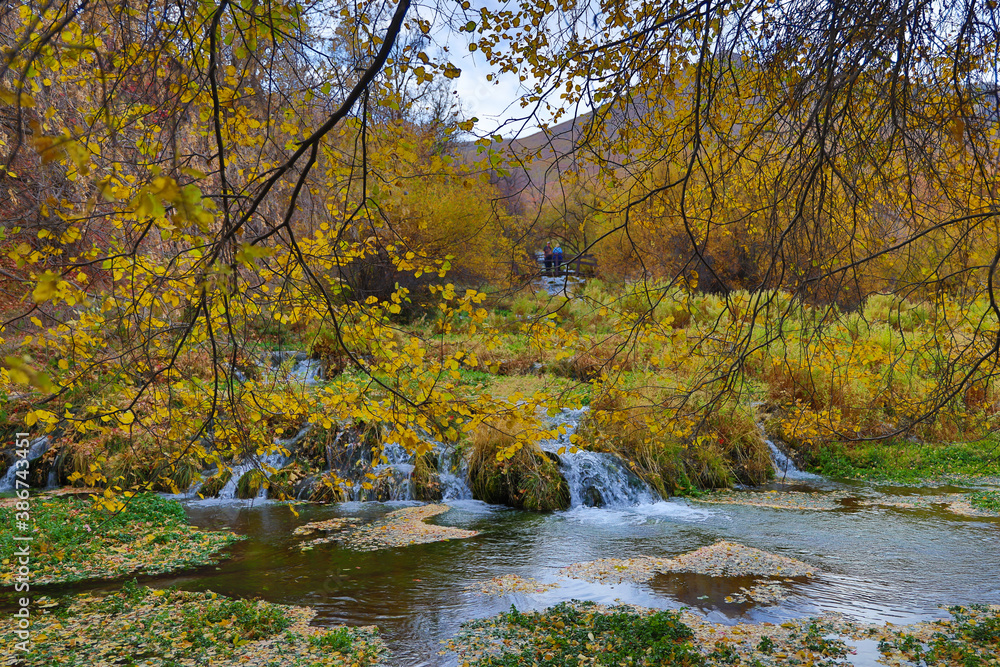 Fototapeta premium mountain stream