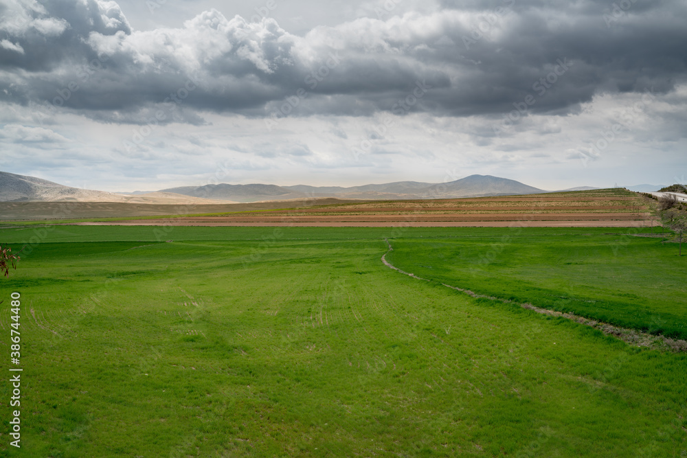 Beautiful green field with mountains and cloudy sky in the background Beautiful green field with mountains and cloudy sky in the background